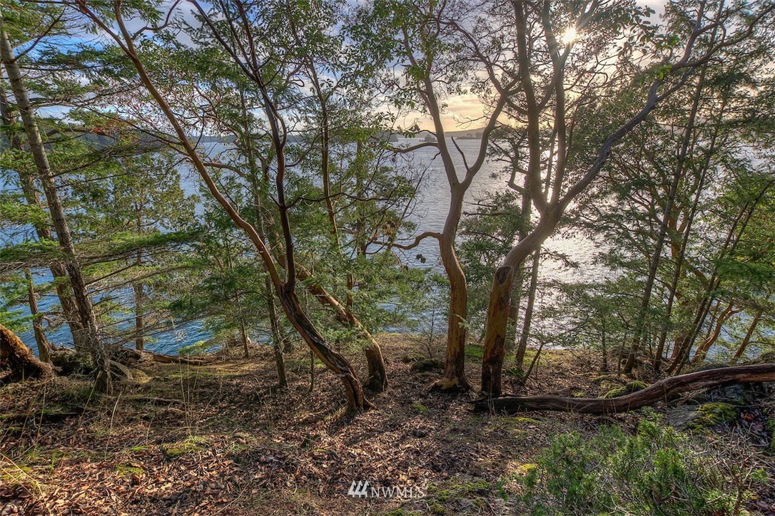 0 Spring Point Road Orcas Island, WA 98245 - Photo 14 of 36