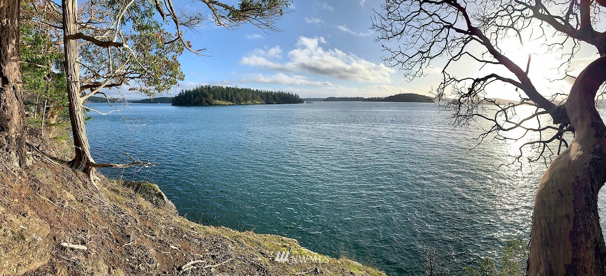 0 Spring Point Road Orcas Island, WA 98245 - Photo 15 of 36