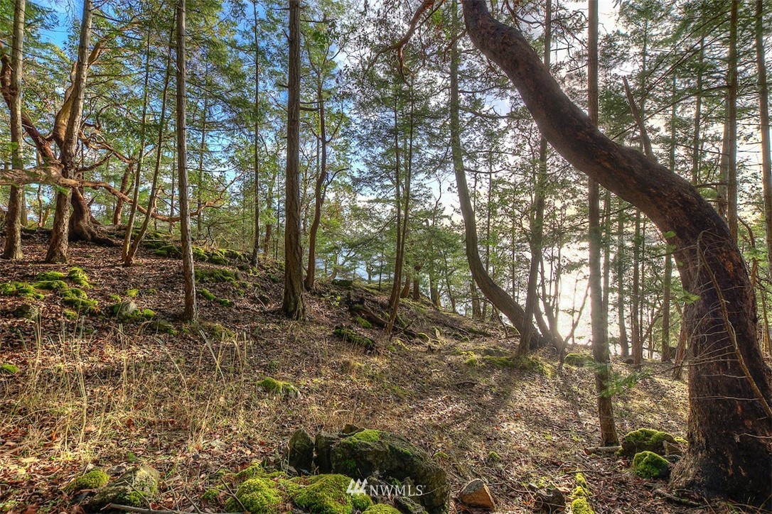 0 Spring Point Road Orcas Island, WA 98245 - Photo 17 of 36