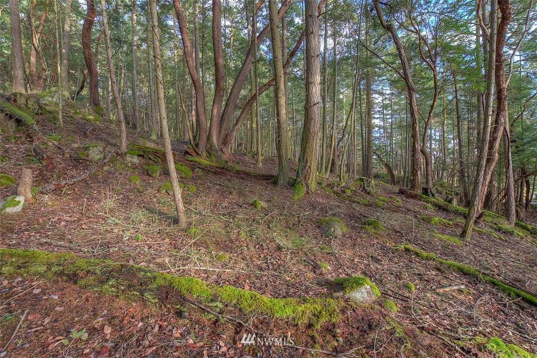 0 Spring Point Road Orcas Island, WA 98245 - Photo 18 of 36