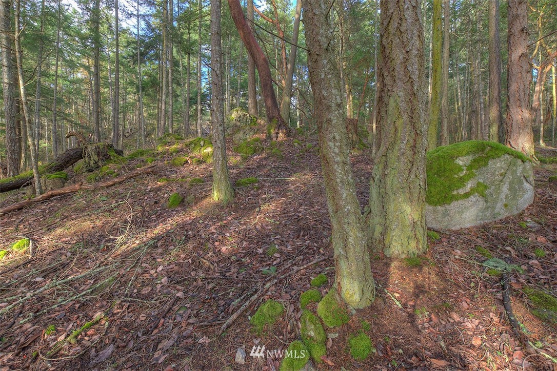 0 Spring Point Road Orcas Island, WA 98245 - Photo 19 of 36