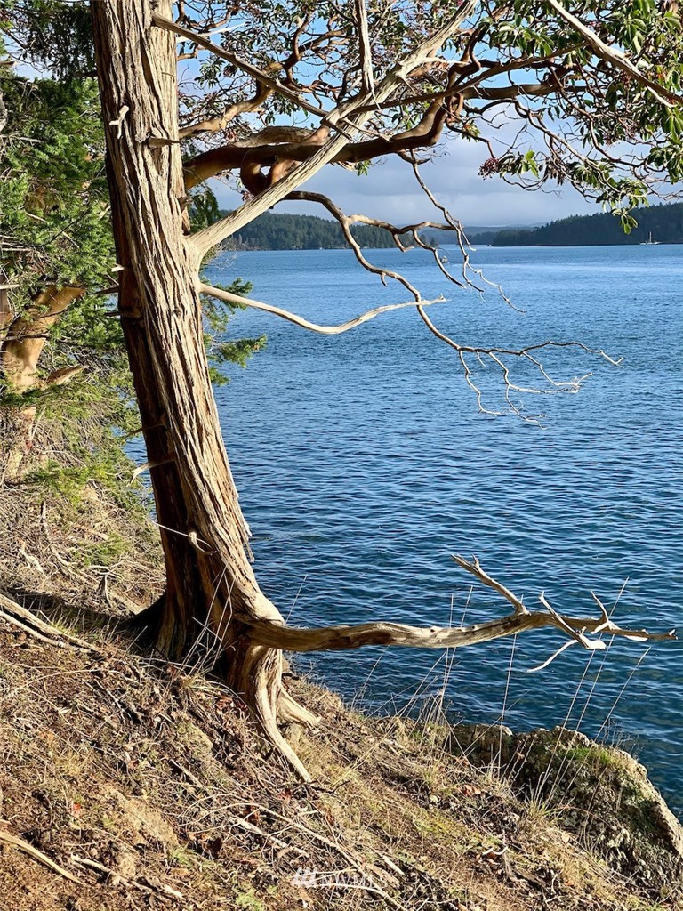 0 Spring Point Road Orcas Island, WA 98245 - Photo 20 of 36