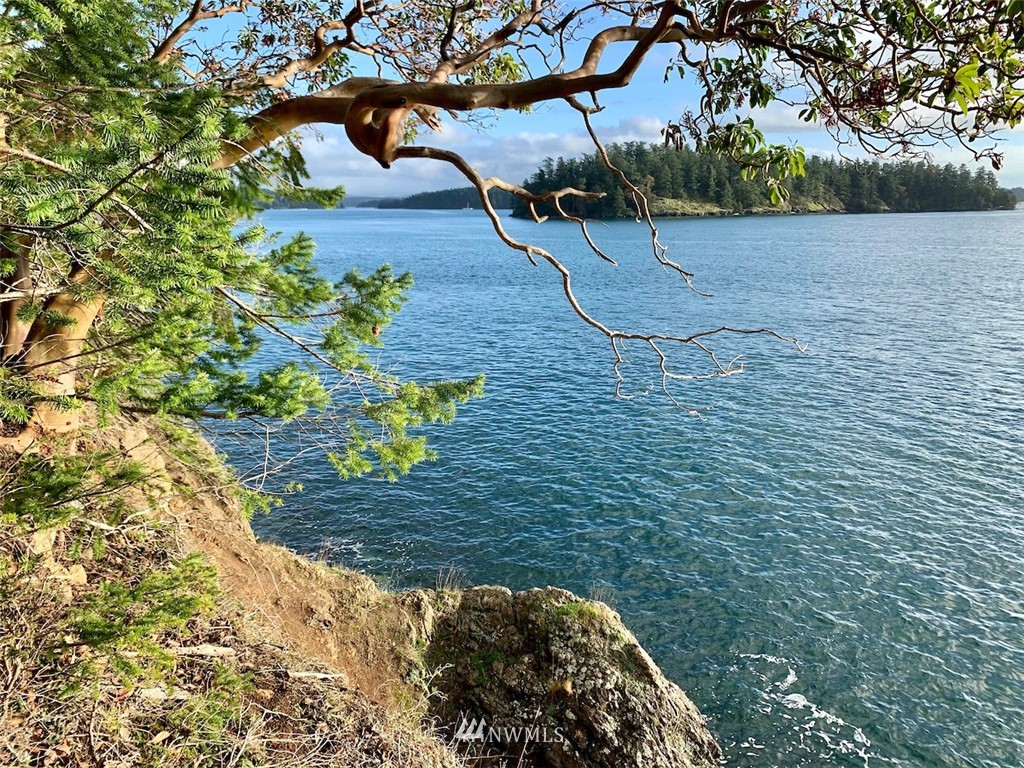 0 Spring Point Road Orcas Island, WA 98245 - Photo 3 of 36
