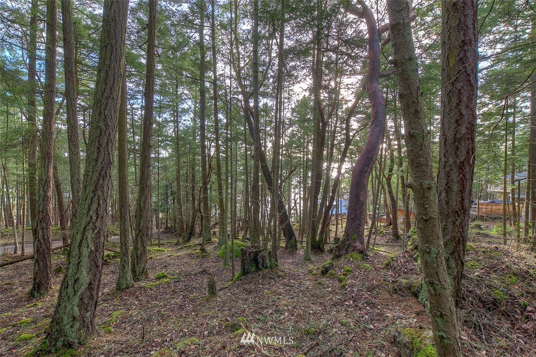 0 Spring Point Road Orcas Island, WA 98245 - Photo 21 of 36