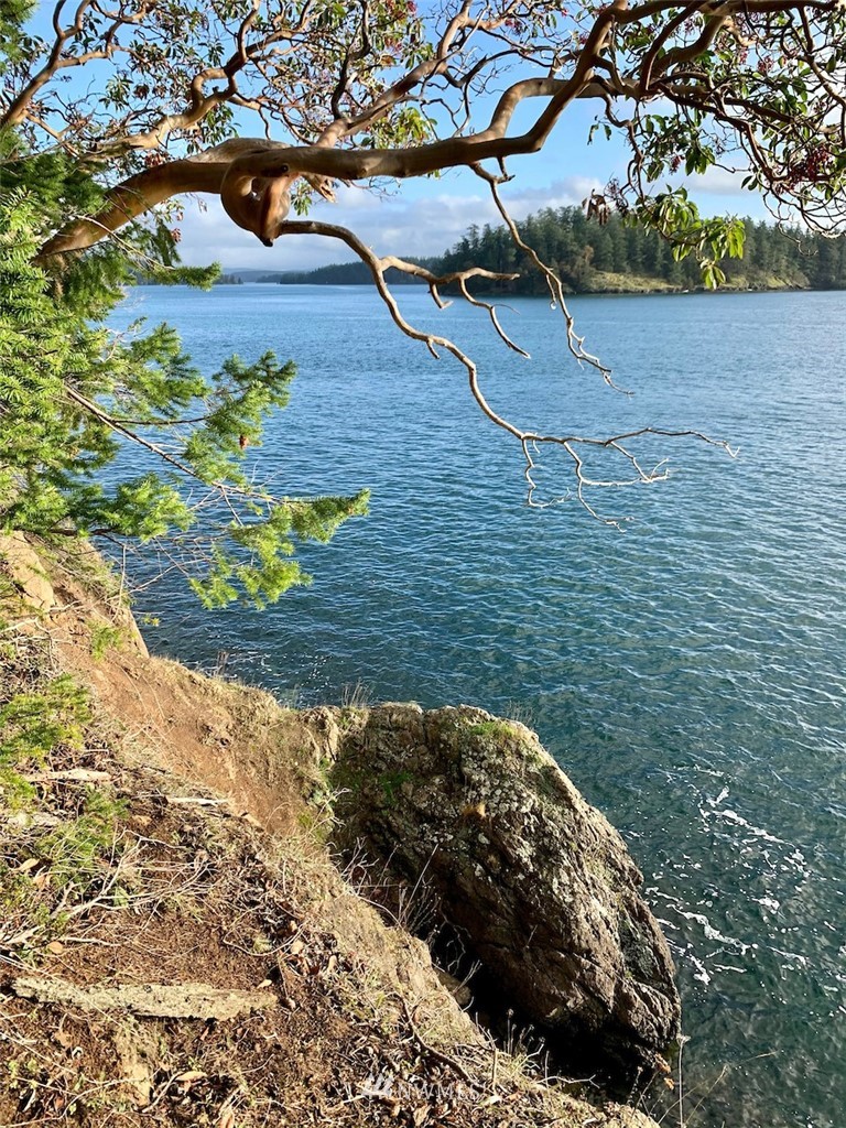 0 Spring Point Road Orcas Island, WA 98245 - Photo 22 of 36