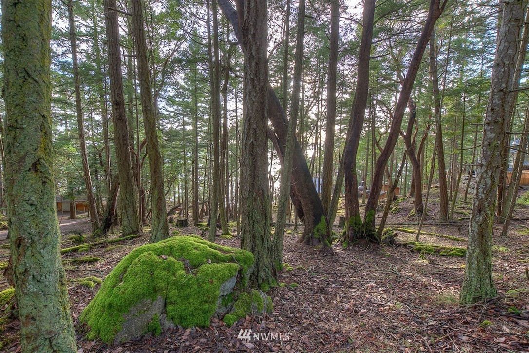 0 Spring Point Road Orcas Island, WA 98245 - Photo 23 of 36