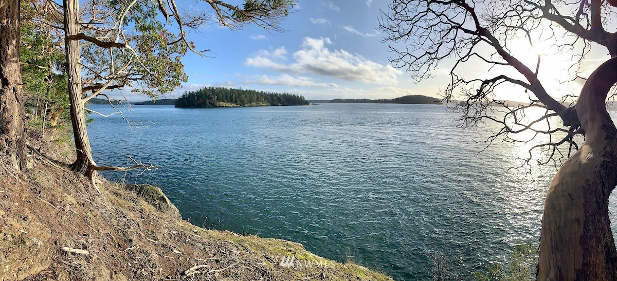 0 Spring Point Road Orcas Island, WA 98245 - Photo 26 of 36