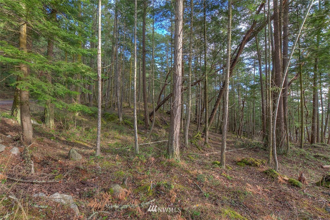 0 Spring Point Road Orcas Island, WA 98245 - Photo 27 of 36
