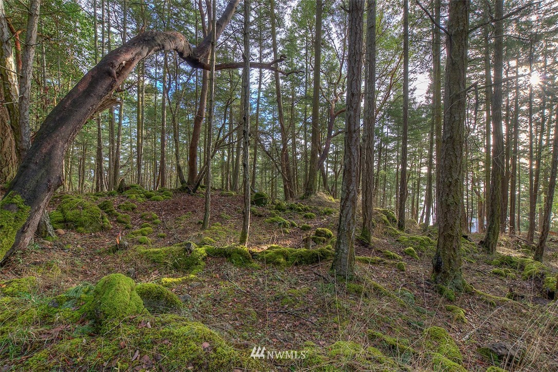 0 Spring Point Road Orcas Island, WA 98245 - Photo 28 of 36