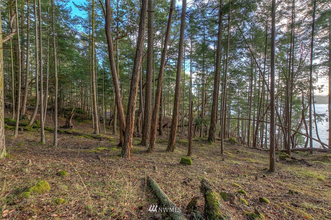 0 Spring Point Road Orcas Island, WA 98245 - Photo 7 of 36