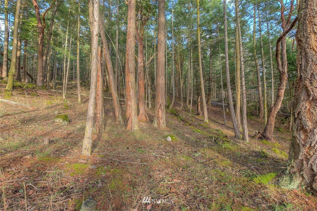 0 Spring Point Road Orcas Island, WA 98245 - Photo 8 of 36
