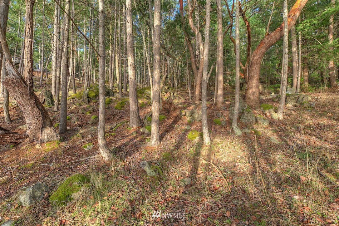 0 Spring Point Road Orcas Island, WA 98245 - Photo 9 of 36