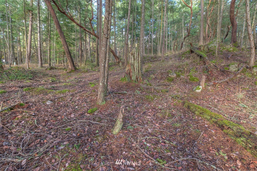 0 Spring Point Road Orcas Island, WA 98245 - Photo 10 of 36