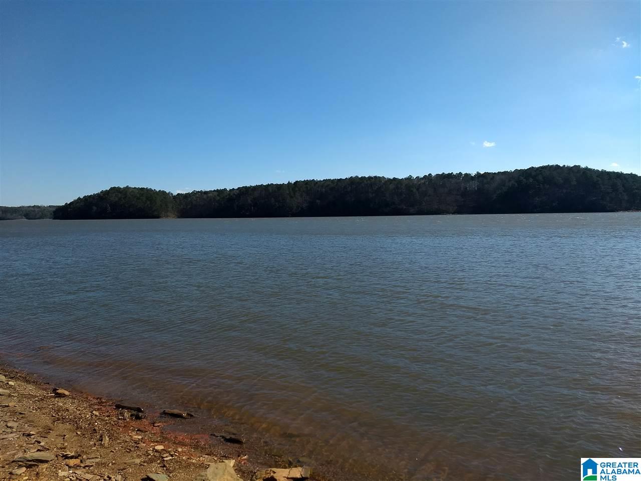 Red Eye Lane, Unit 22 Wedowee, AL 36278 - Photo 3 of 6
