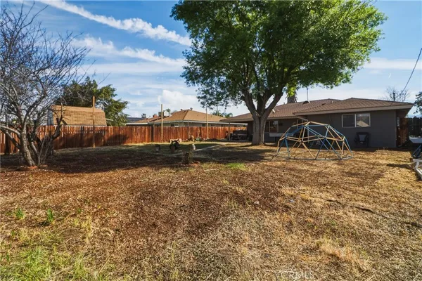 a view of a yard with plants
