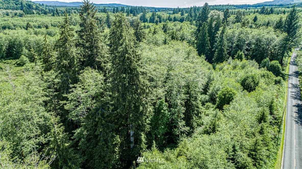 999 Oil City Road Forks, WA 98331 - Photo 29 of 29 Gallery Image 29