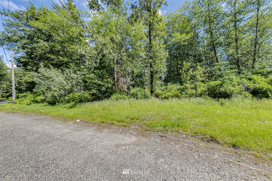 999 Oil City Road Forks, WA 98331 - Photo 9 of 29 Gallery Image 9