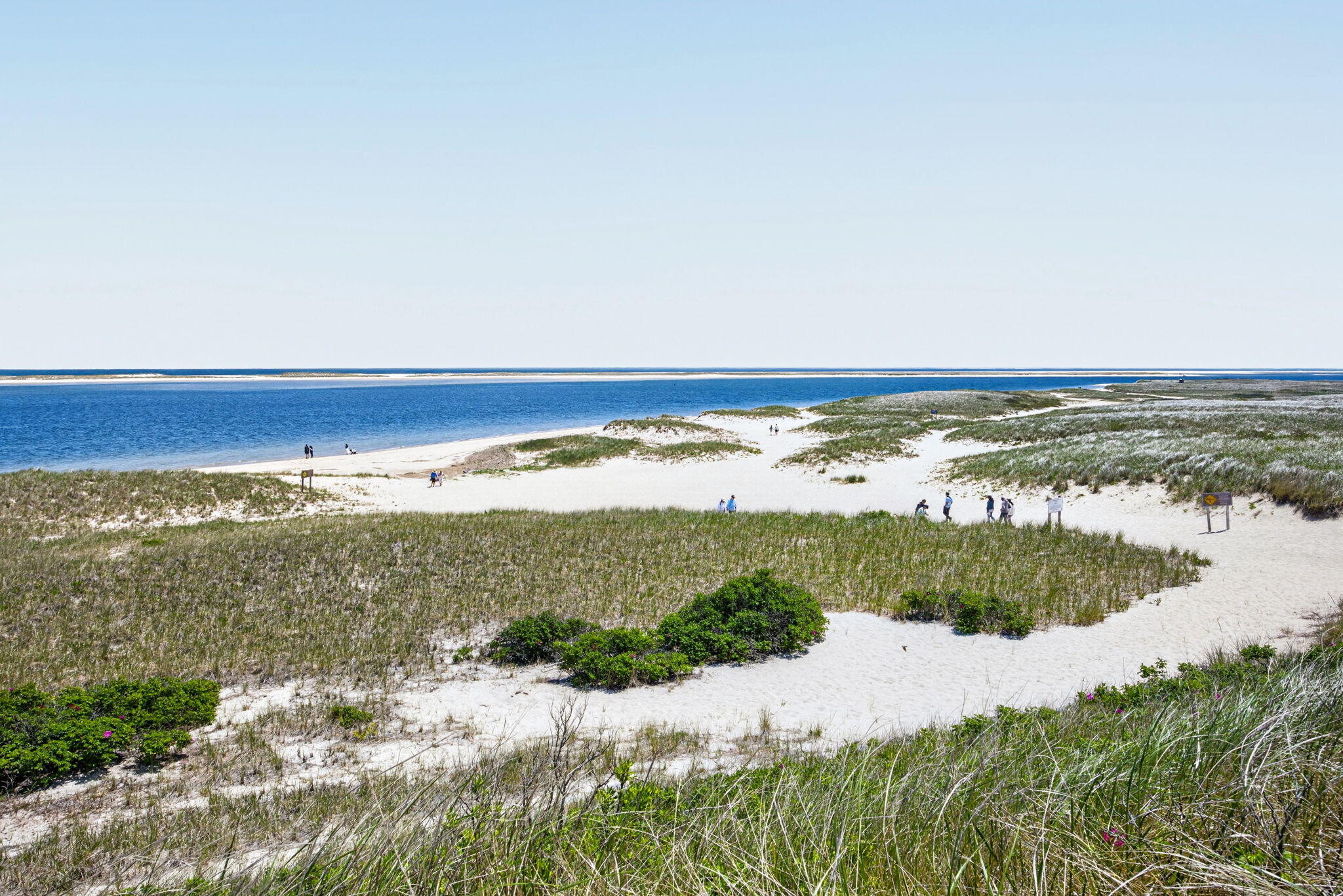 333 Old Comers Road Chatham, MA 02633 - Photo 65 of 70 55-PF0A9453