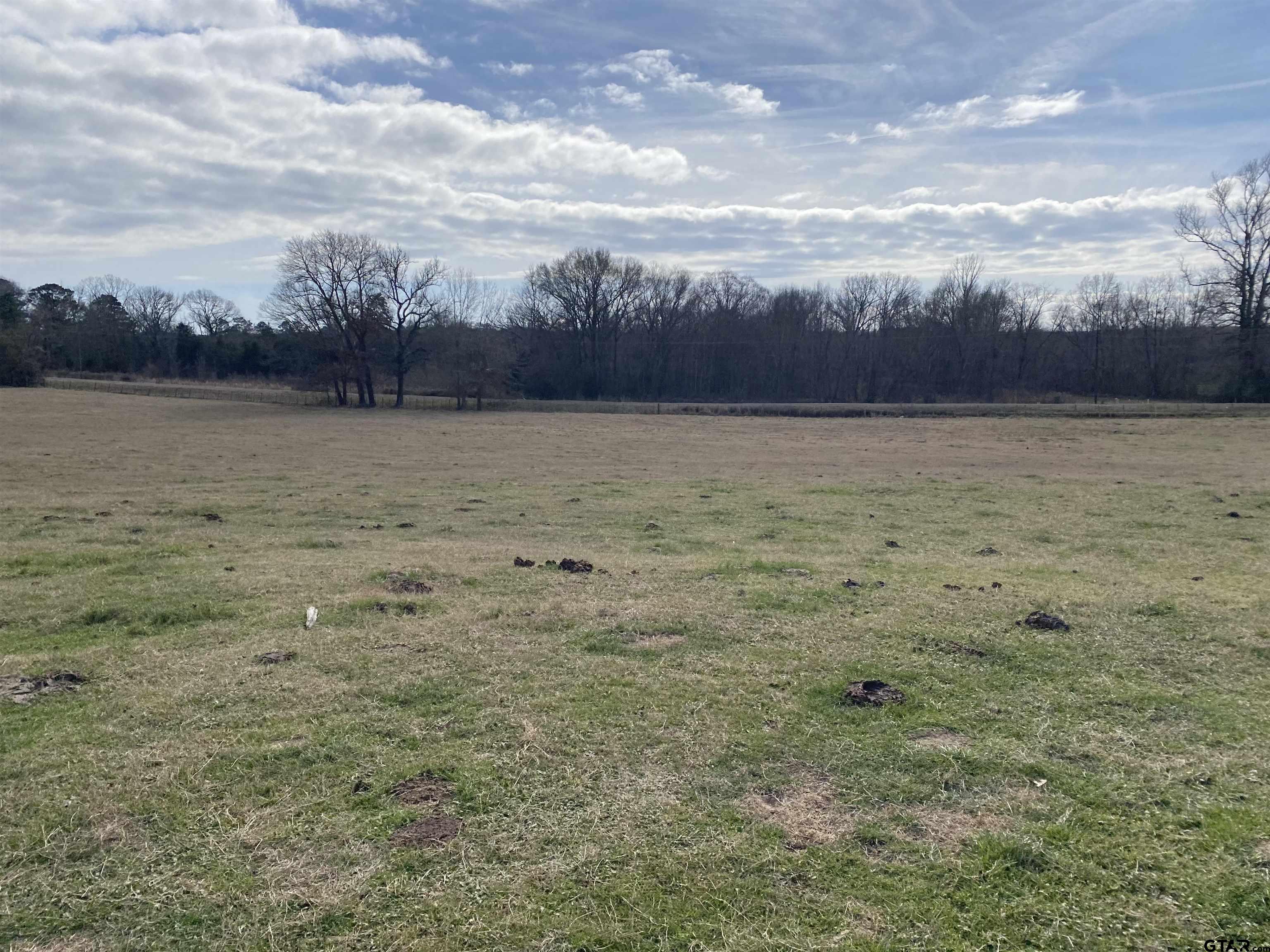 22479 Old Tyler Road Troup, TX 75789 - Photo 3 of 8 a view of a yard