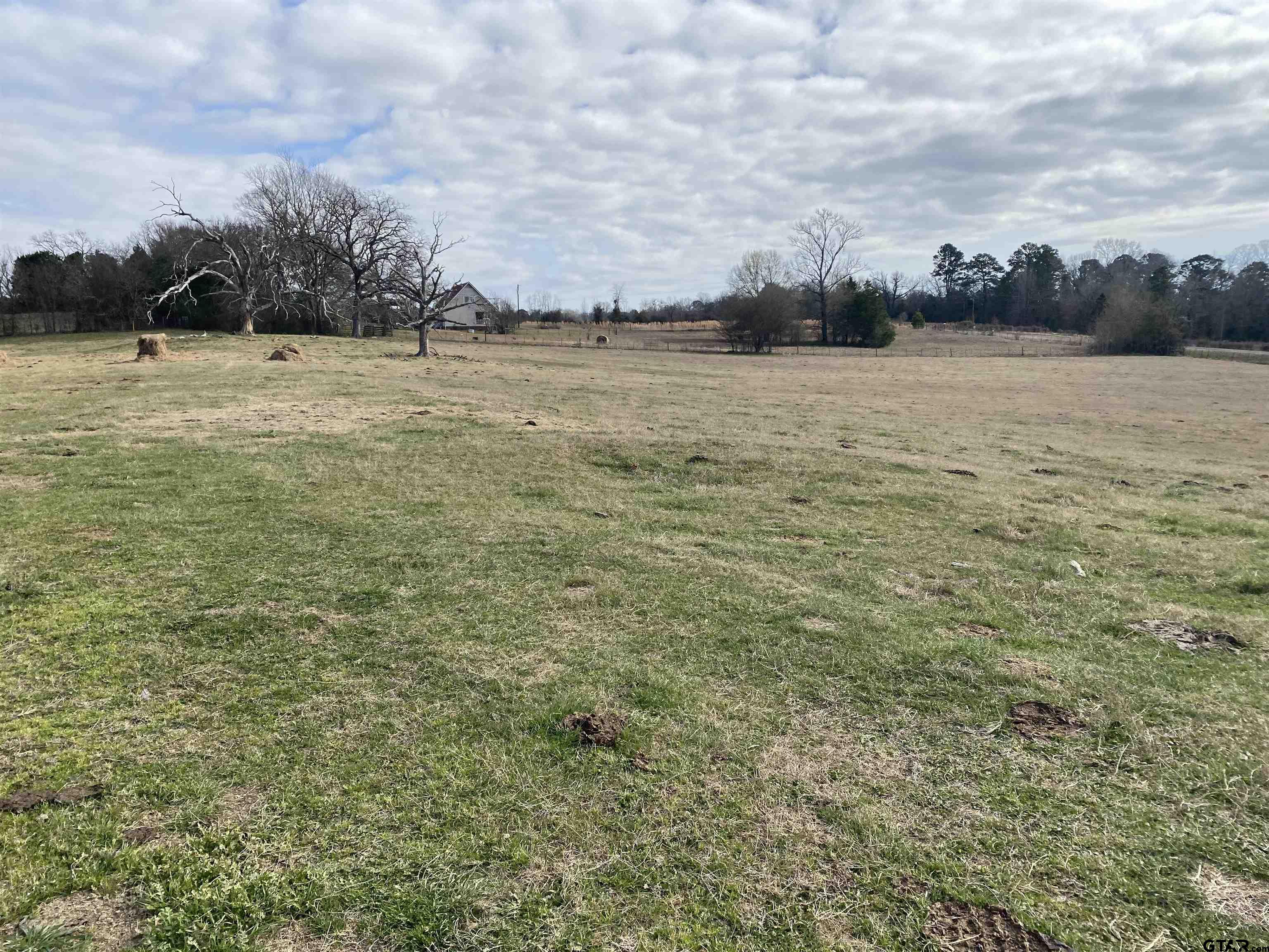 22479 Old Tyler Road Troup, TX 75789 - Photo 5 of 8 a view of outdoor space with yard and trees around