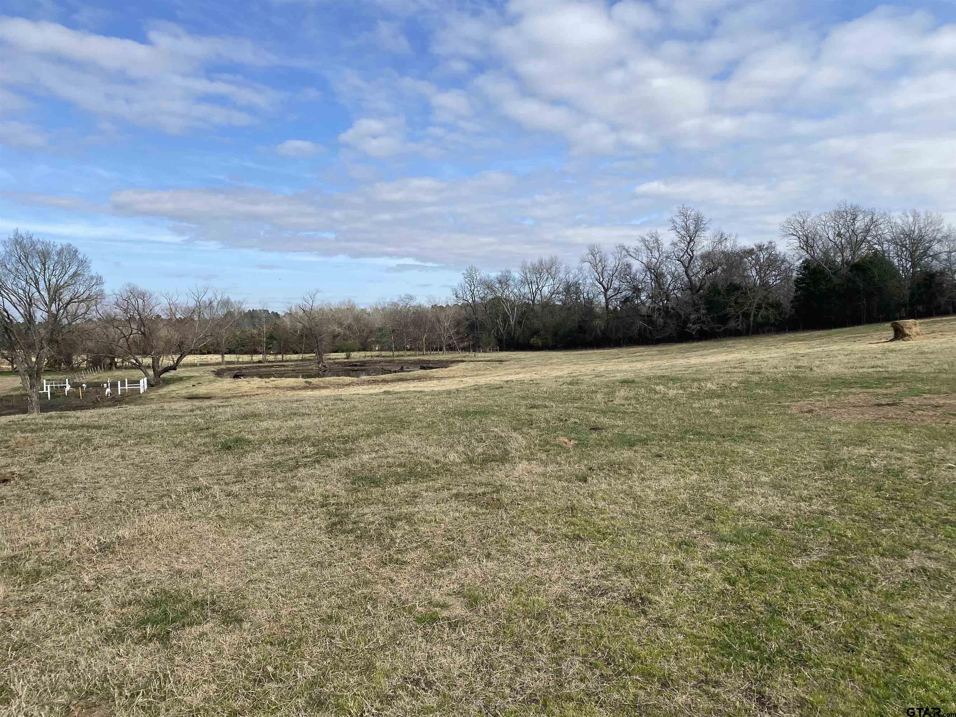 22479 Old Tyler Road Troup, TX 75789 - Photo 6 of 8 a view of a field with trees in background