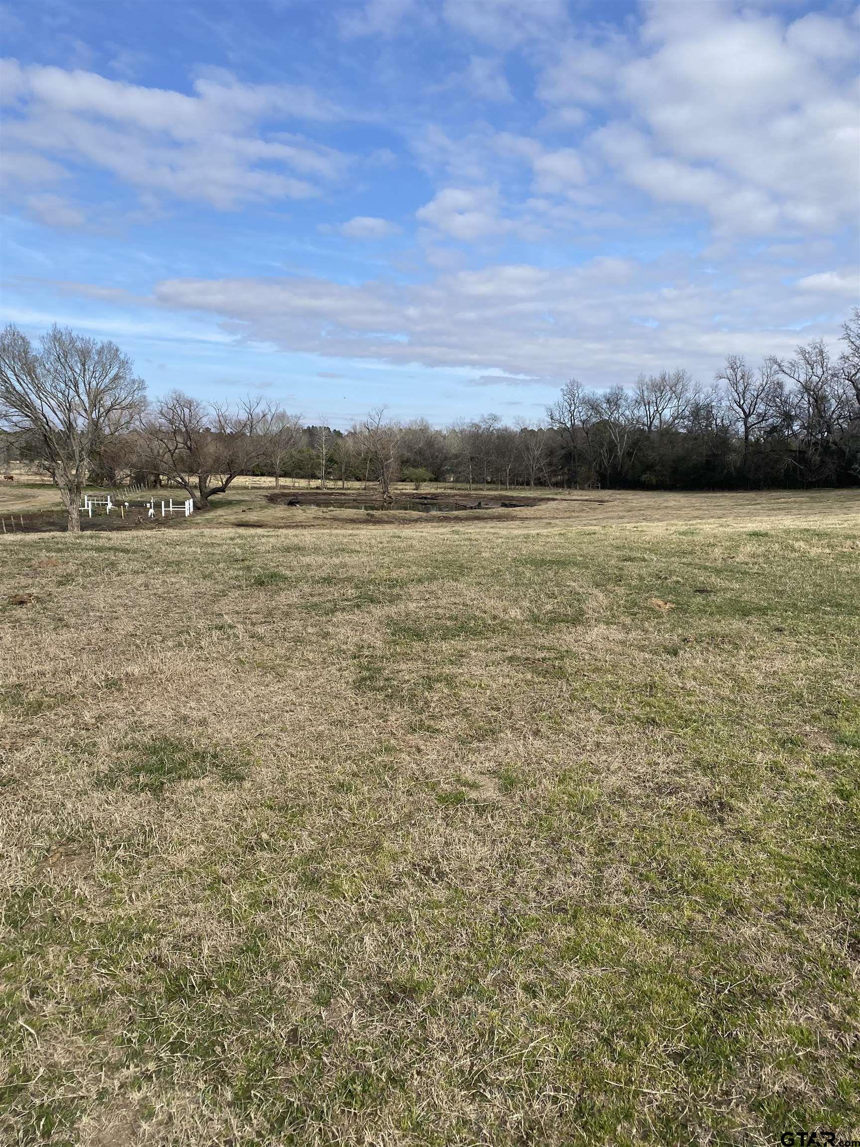 22479 Old Tyler Road Troup, TX 75789 - Photo 7 of 8