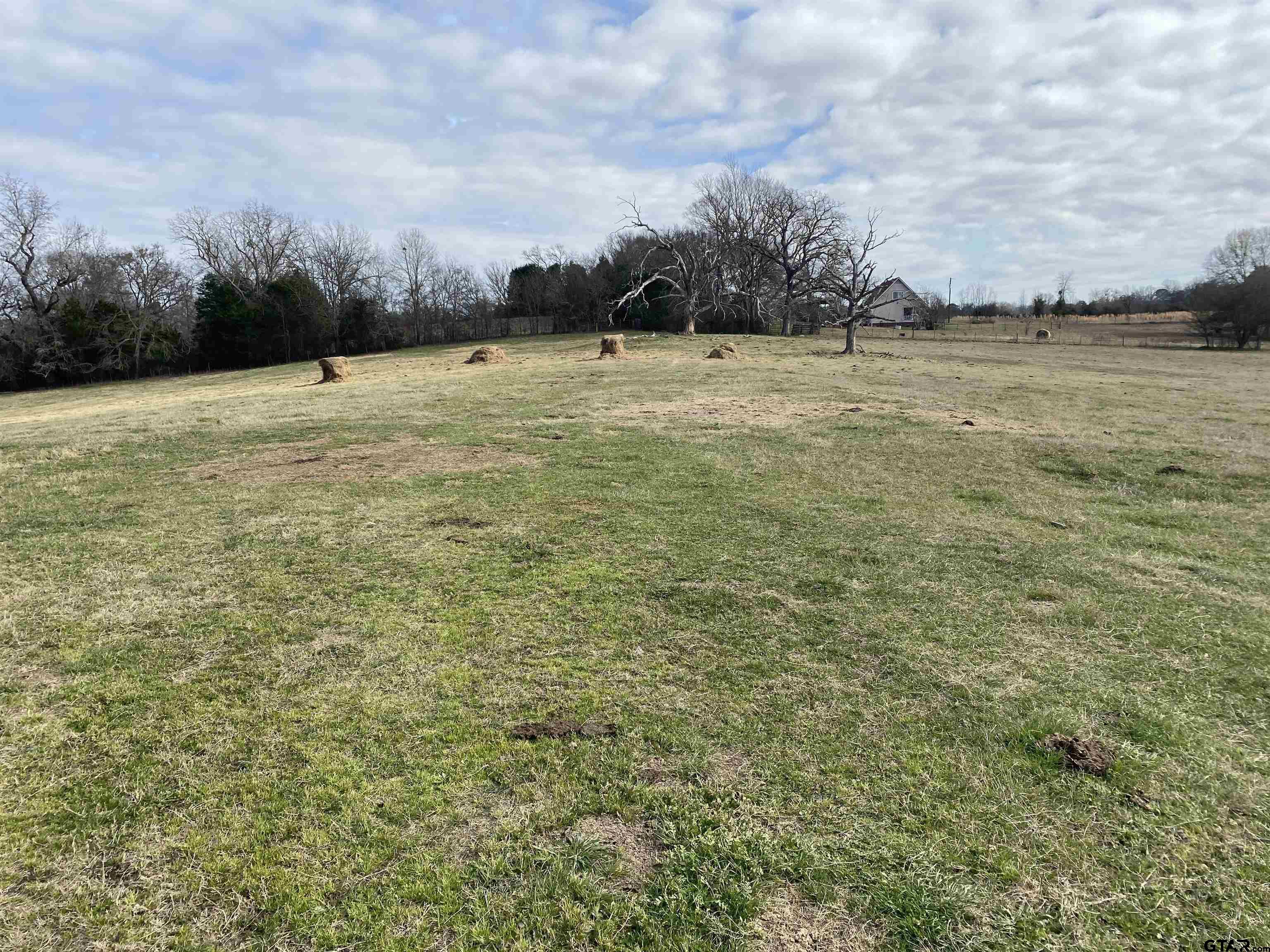 22479 Old Tyler Road Troup, TX 75789 - Photo 8 of 8 a view of a field with an trees in the background