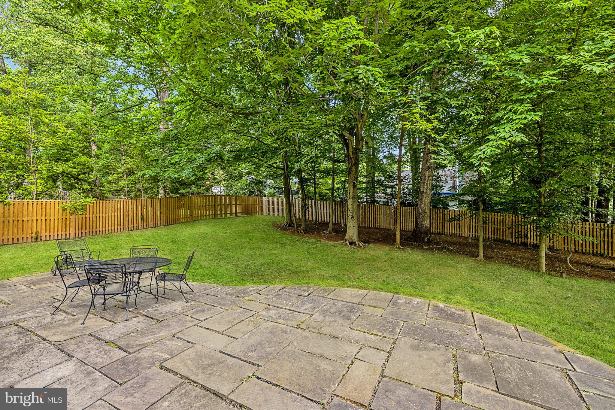 8009 Hackamore Drive Potomac, MD 20854 - Photo 16 of 19 Privacy trees in backyard