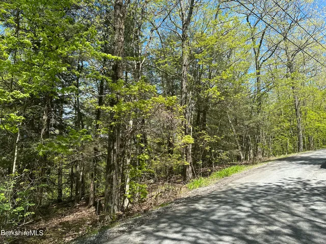 a view of a plants and trees