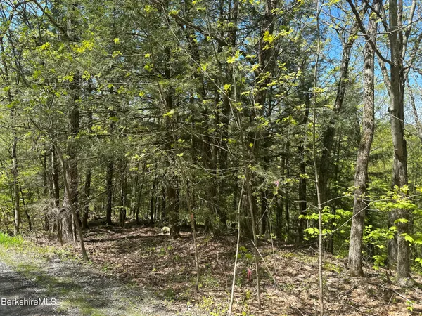 $39,900 | 289 Antelope Drive, Lee, MA 01238