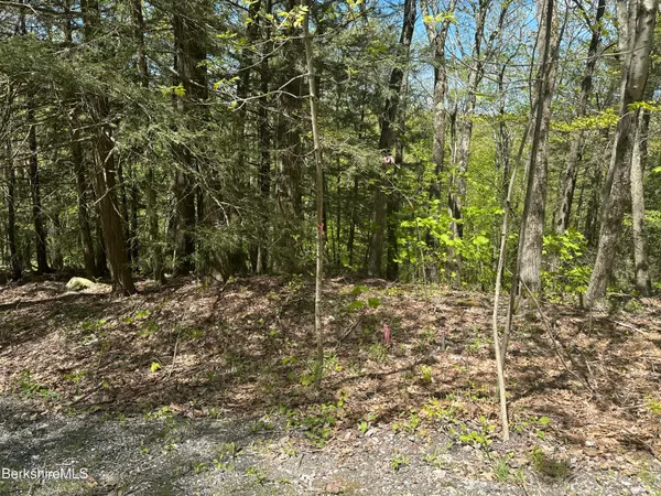 $39,900 | 289 Antelope Drive, Lee, MA 01238