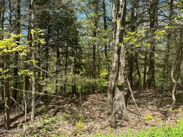 $39,900 | 289 Antelope Drive, Lee, MA 01238