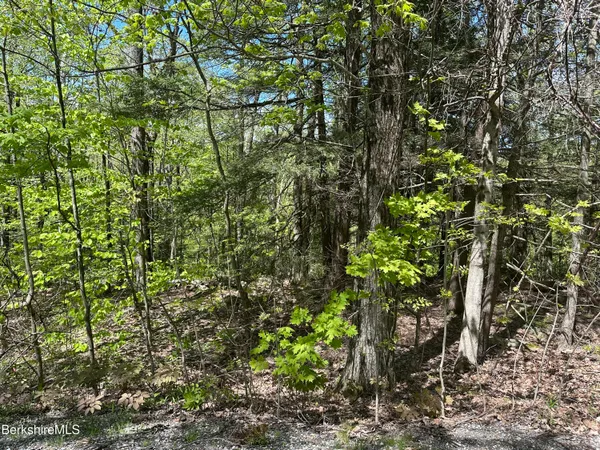 $39,900 | 289 Antelope Drive, Lee, MA 01238