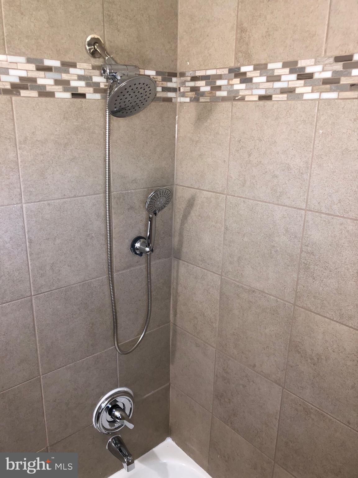 319 Grove Park Road Baltimore, MD 21225 - Photo 18 of 59 Extra wide showerhead w/ separate handheld sprayer