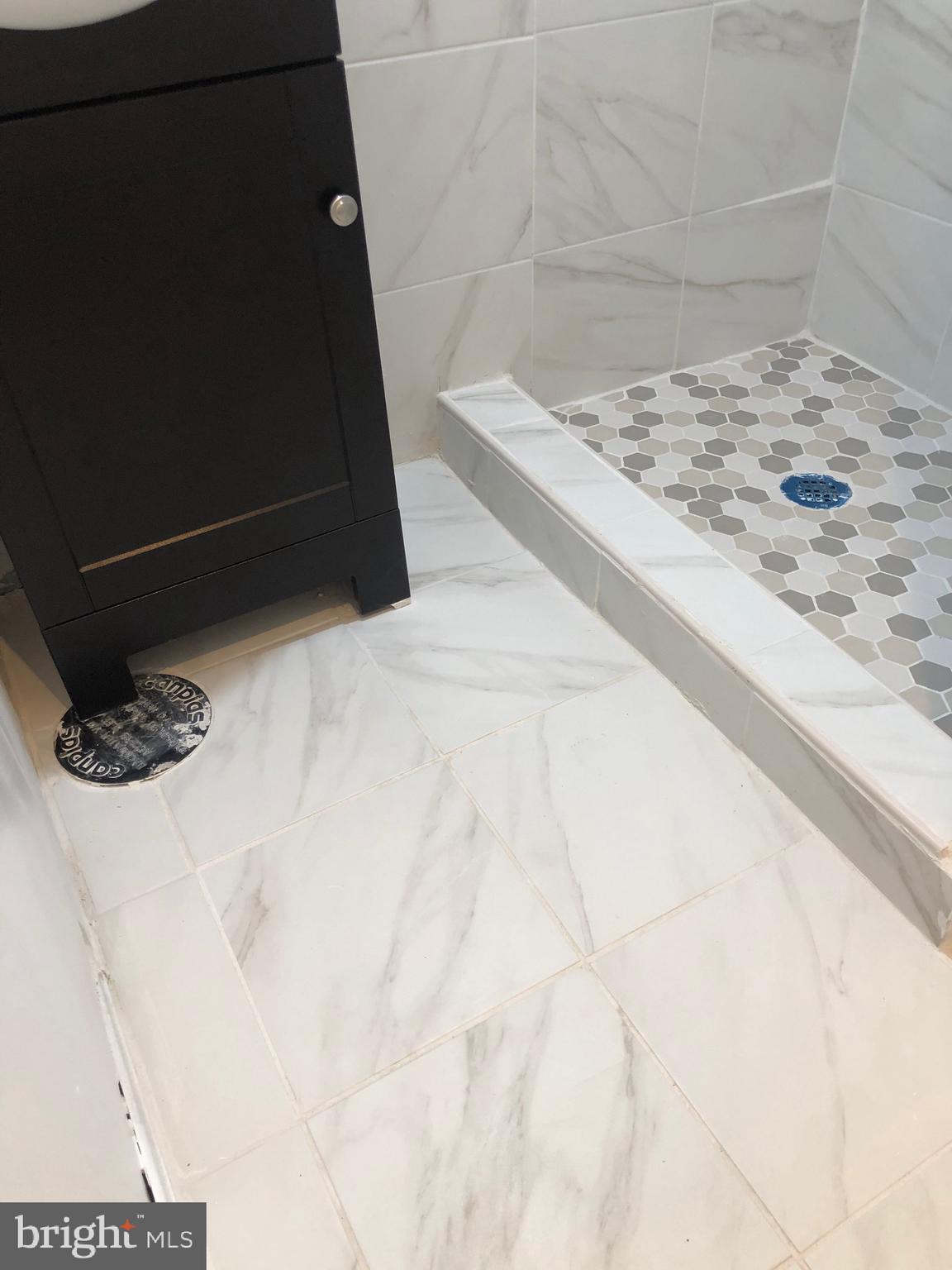 319 Grove Park Road Baltimore, MD 21225 - Photo 34 of 59 Custom shower