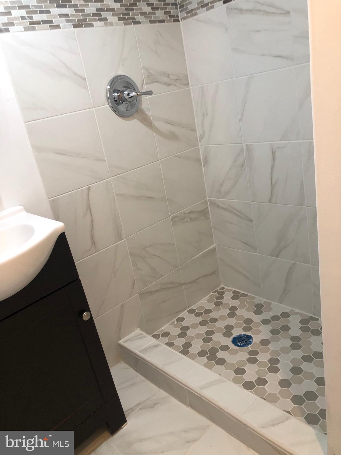 319 Grove Park Road Baltimore, MD 21225 - Photo 35 of 59 Basement shower
