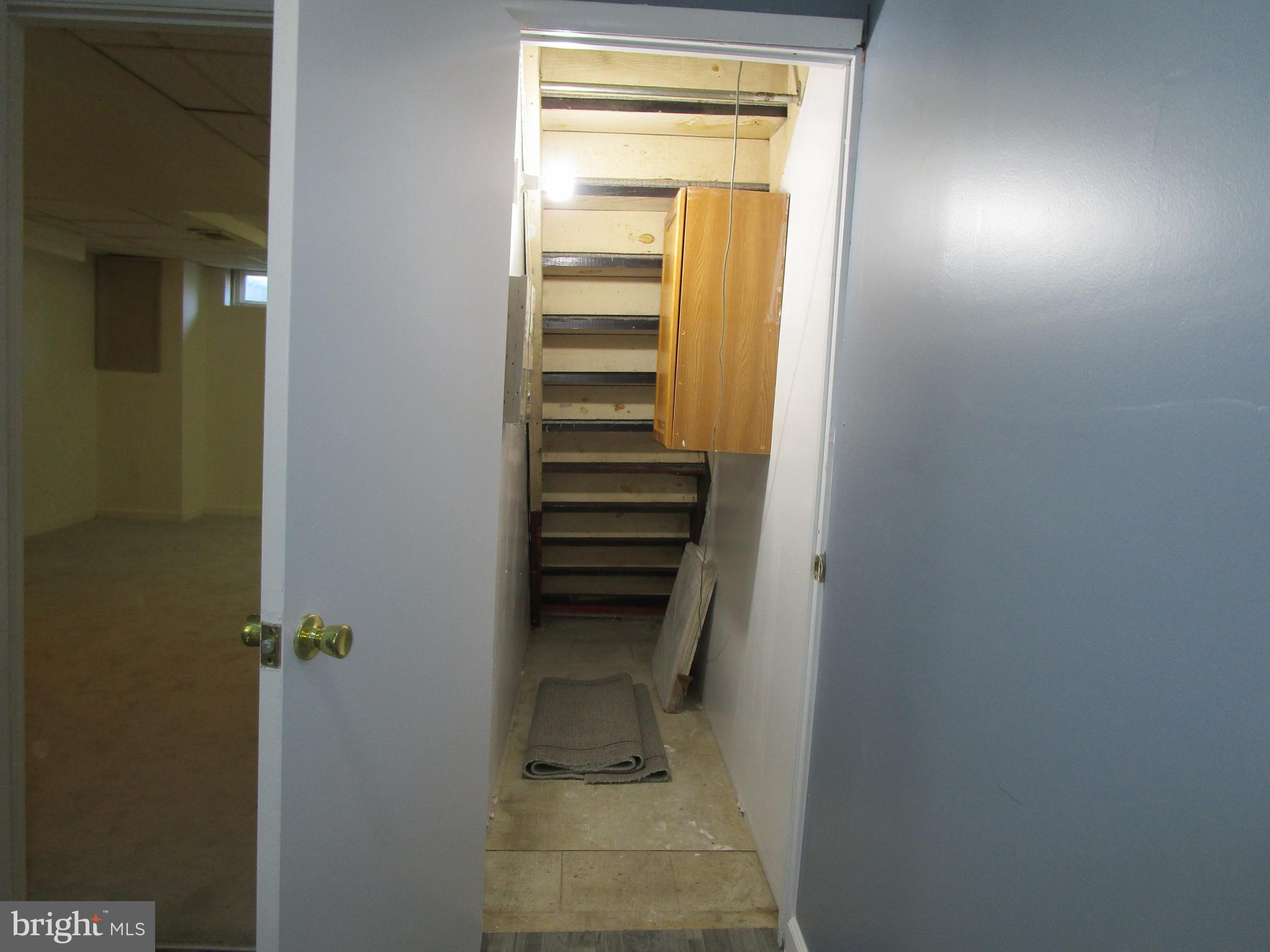 319 Grove Park Road Baltimore, MD 21225 - Photo 52 of 59 More storage under stairs