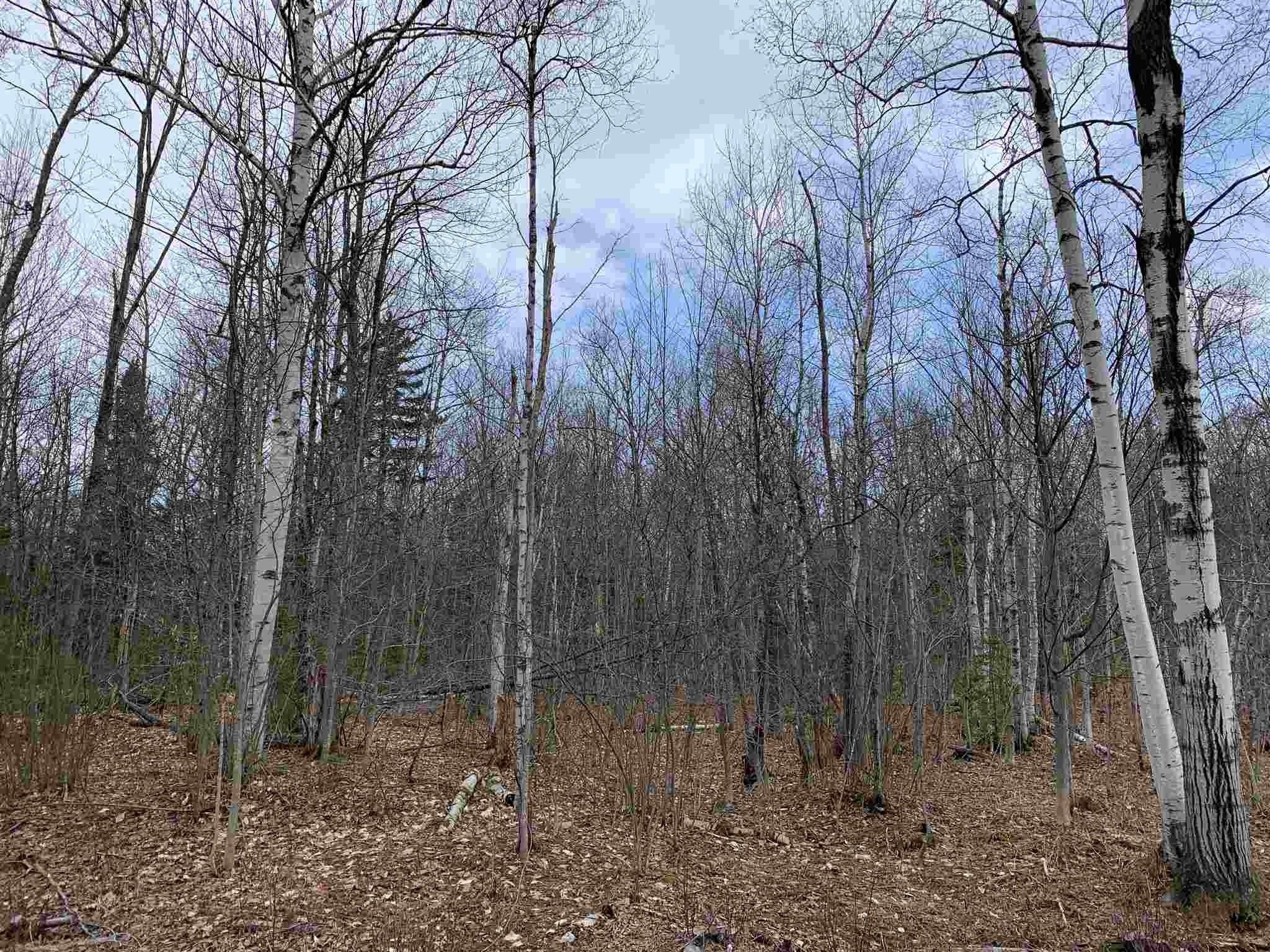 701 North Jay Road, Unit 3 Jay, VT 05859 - Photo 3 of 16 Gallery Image 3