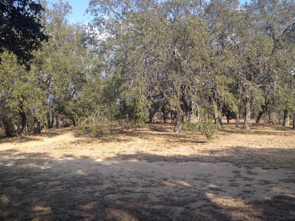 15814 Hamilton Pool Road Bee Cave, TX 78738 - Photo 1 of 1 Gallery Image 1
