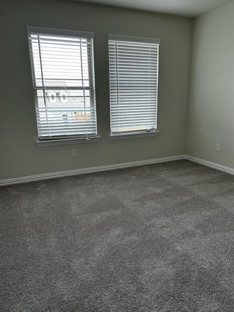 427 Alpha Pilot Point Pilot Point, TX 76258 - Photo 10 of 34 Gallery Image 10