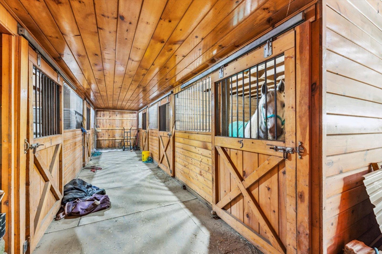 98 Blakes Hill Road Northwood, NH 03261 - Photo 30 of 39