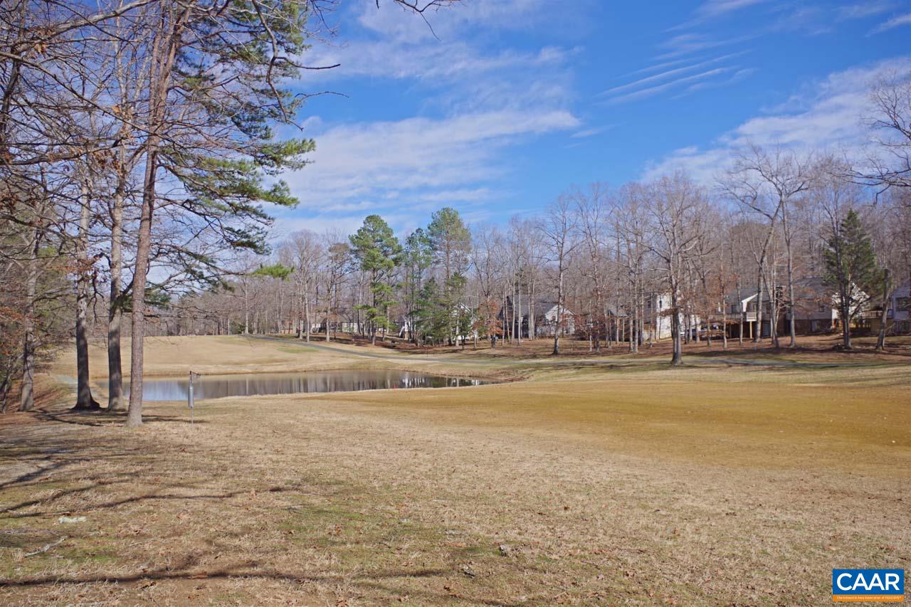 7 Out Of Bounds Road Palmyra, VA 22963 - Photo 60 of 64