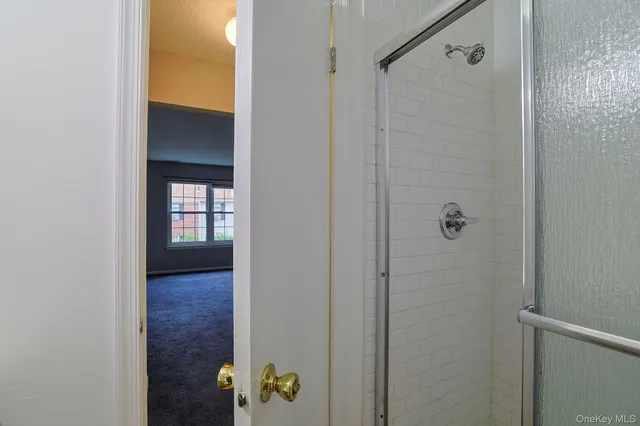 a bathroom with a granite countertop shower
