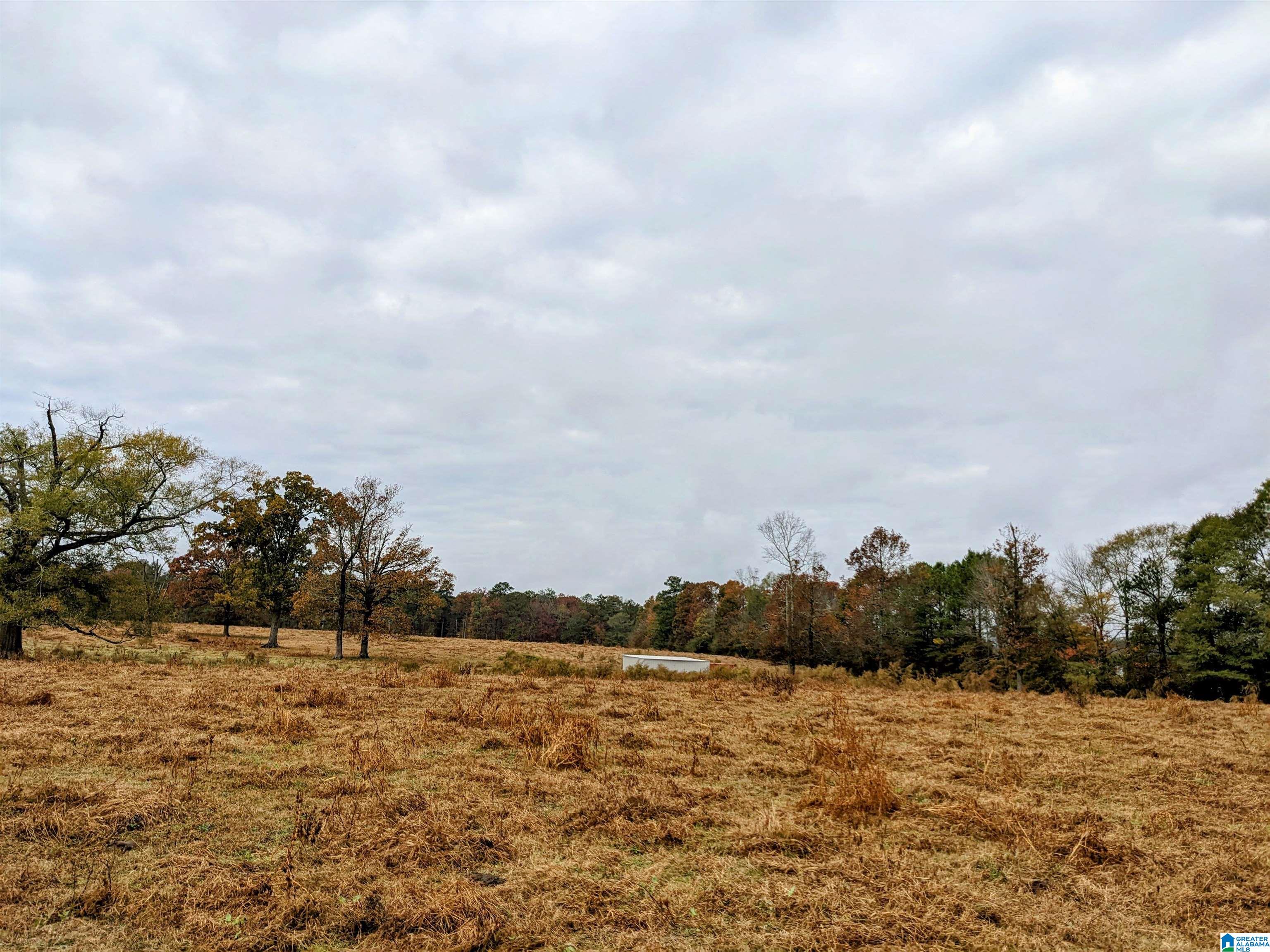 0 Double Bridge Road, Unit 1 Steele, AL 35987 - Photo 6 of 16 Gallery Image 6