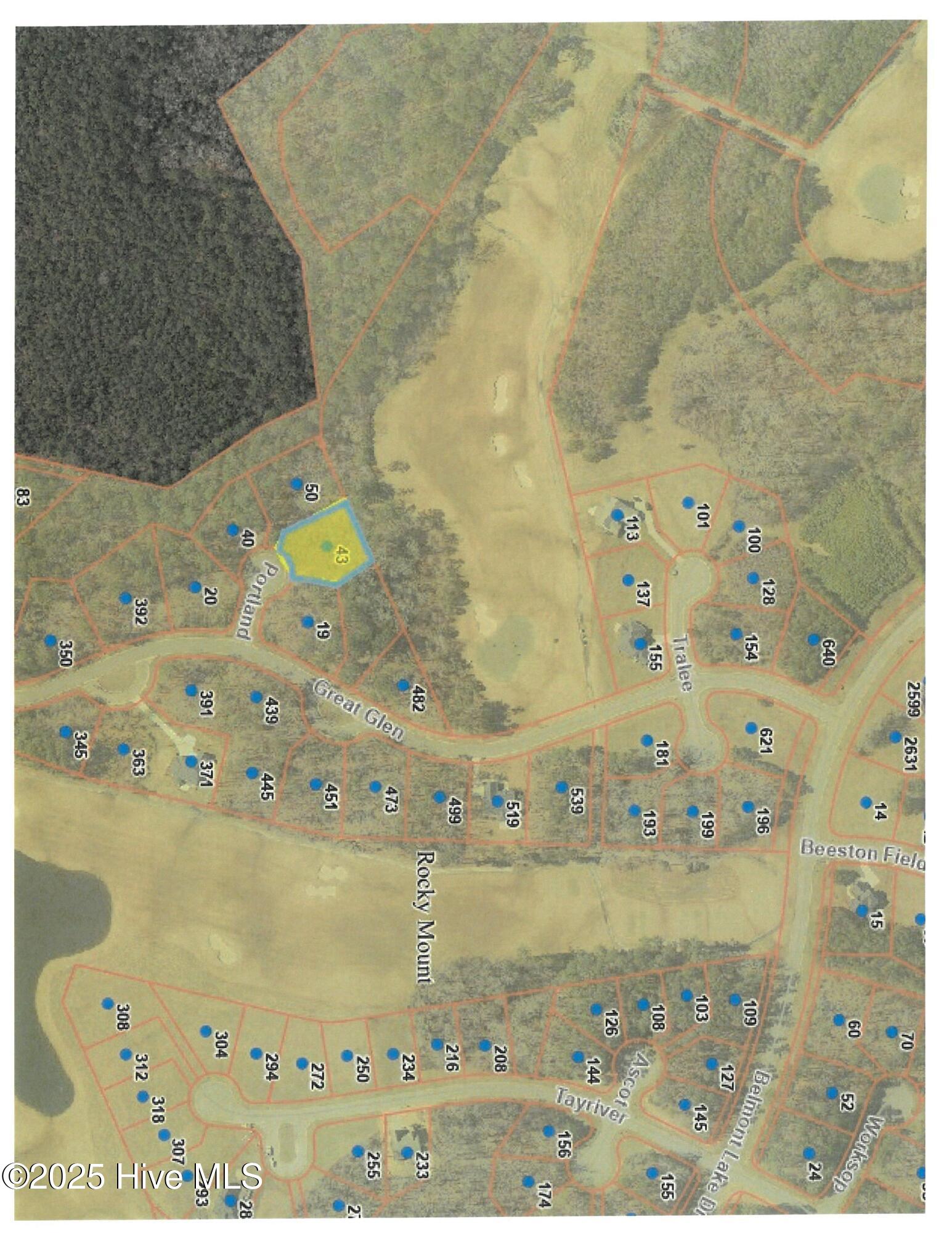 43 Portland Rocky Mount, NC 27804 - Photo 3 of 28 43 Portland, Aerial GIS JPEG