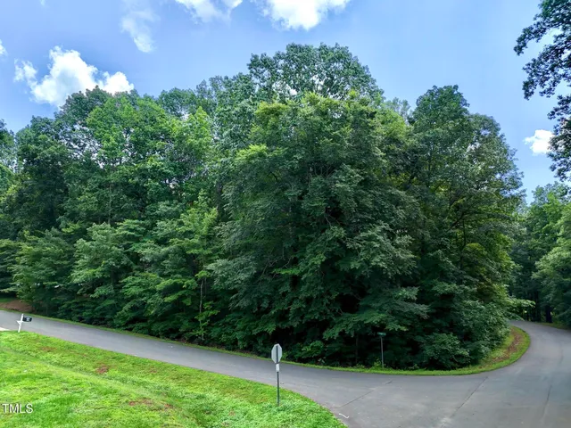 a view of a yard with small trees