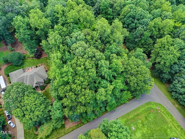 a view of a park with large trees