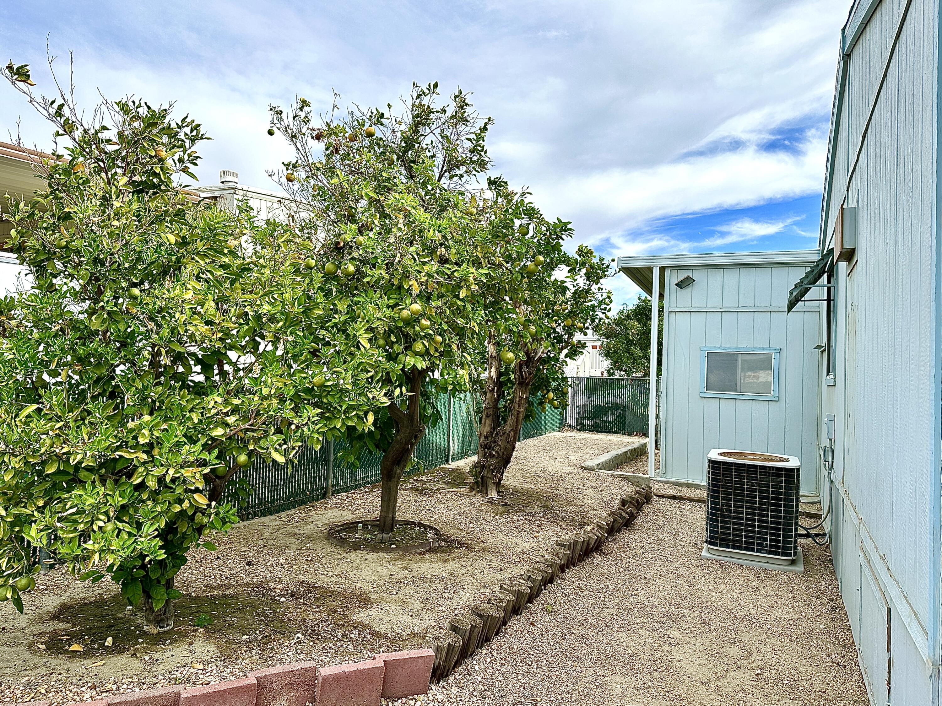 18070 Langlois Road, Unit 220 Desert Hot Springs, CA 92241 - Photo 27 of 30 Backyard