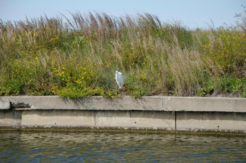 14302 Cruiser Street, Unit A Corpus Christi, TX 78418 - Photo 24 of 28 a view of lake view