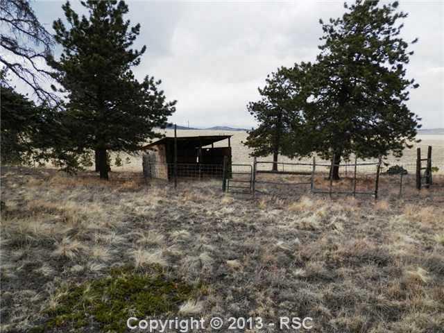 9777 Ranch Road Hartsel, CO 80449 - Photo 20 of 21 Loafing Shed and Corral